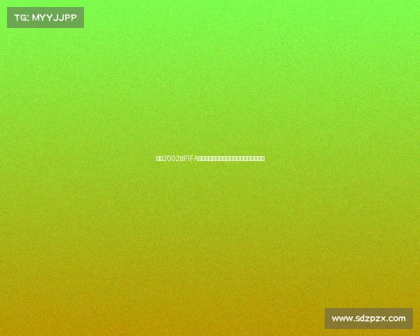 定格2002年FIFA世界杯官方照回顾绿茵盛宴与激情瞬间经典